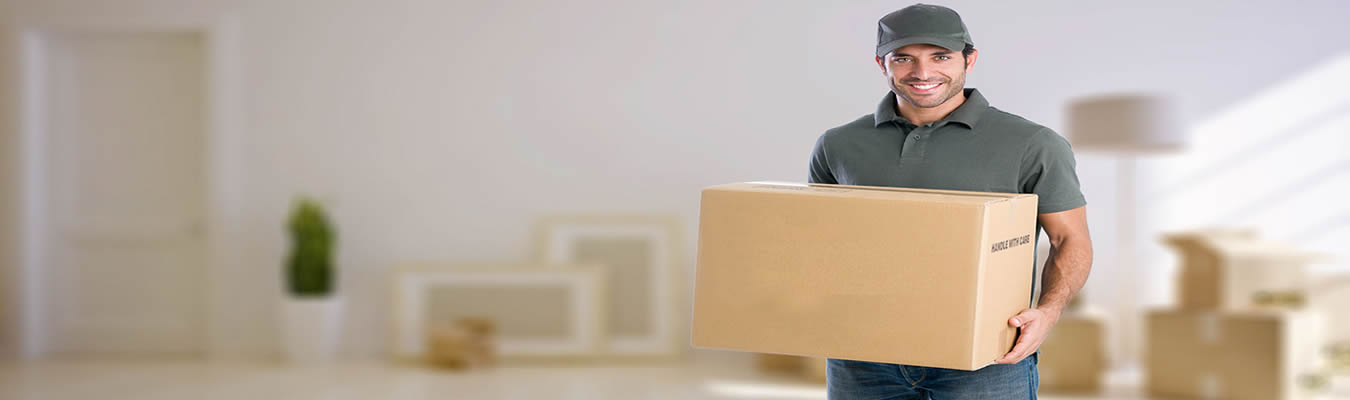 packers and movers in lucknow