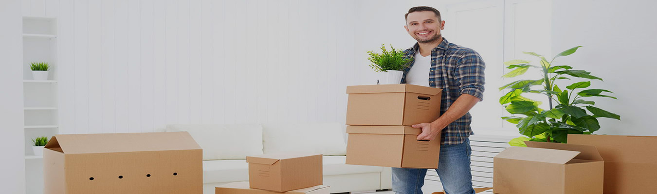 packers and movers in lucknow