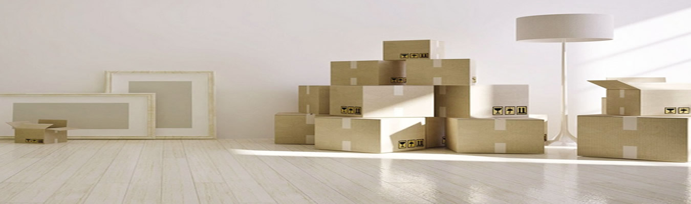 packers and movers in lucknow